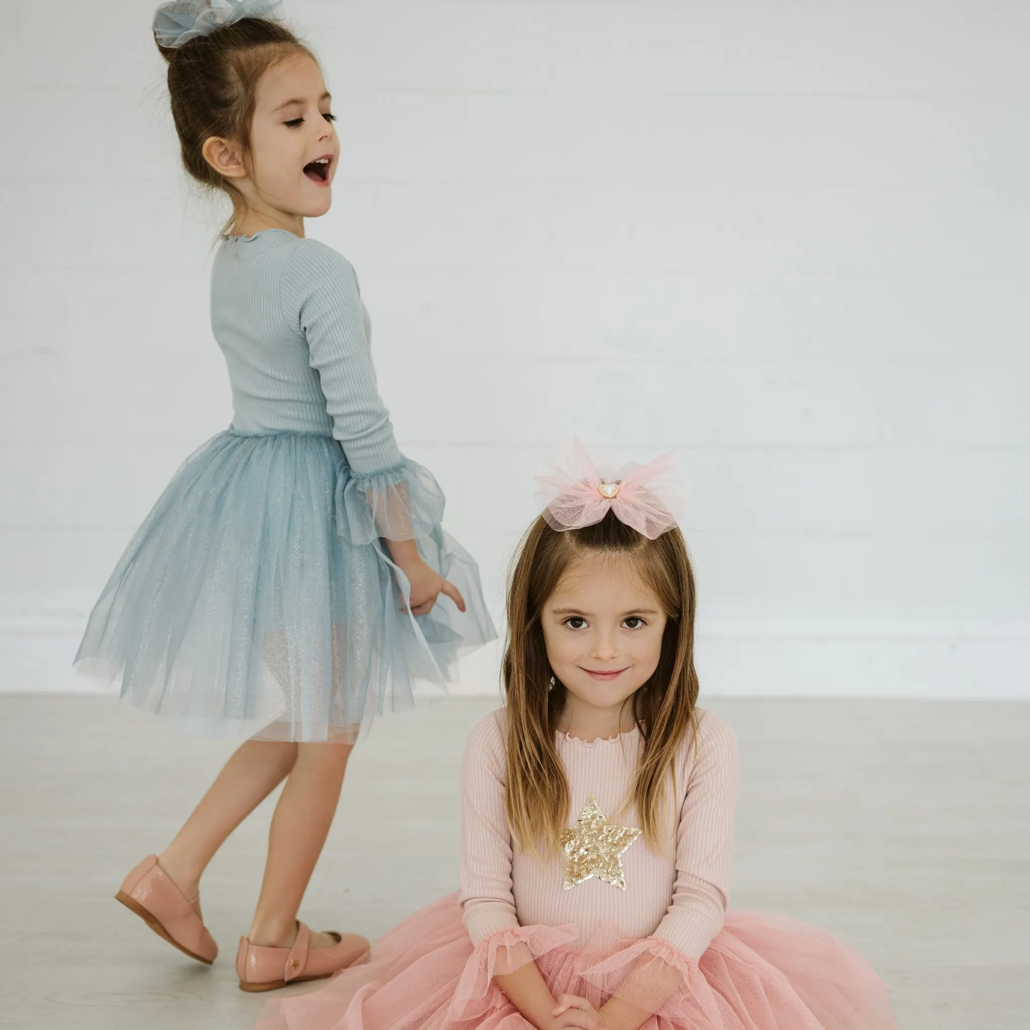Sleeve Tutu Dress