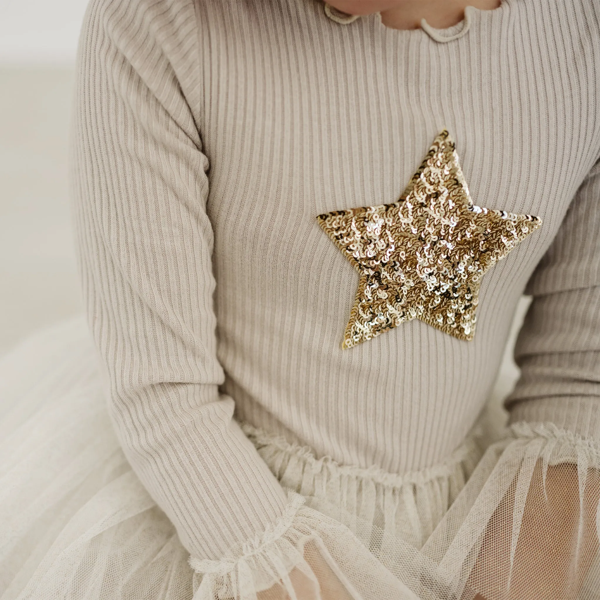Sleeve Tutu Dress
